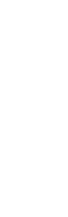 ぎふ長良川の鵜飼